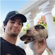 Estudiante universitario con experiencia en docencia, experiencia en mates, física, dibujo técnico, química y otras materias